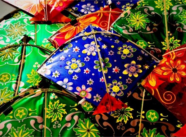 Le festival de cerf volant Jaipur