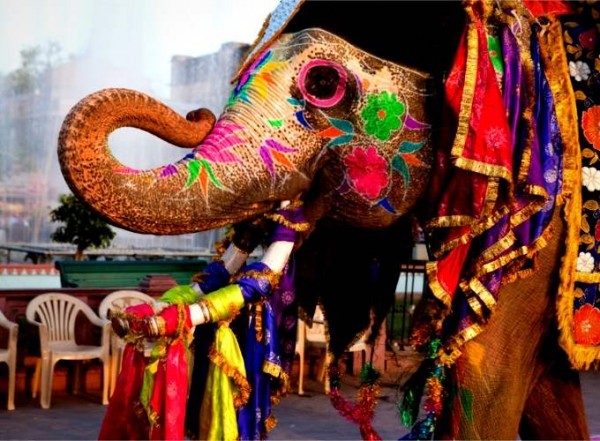 Jaipur littérature festival  2025